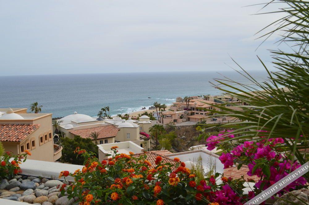 Villa Las Flores Cabo San Lucas Buitenkant foto